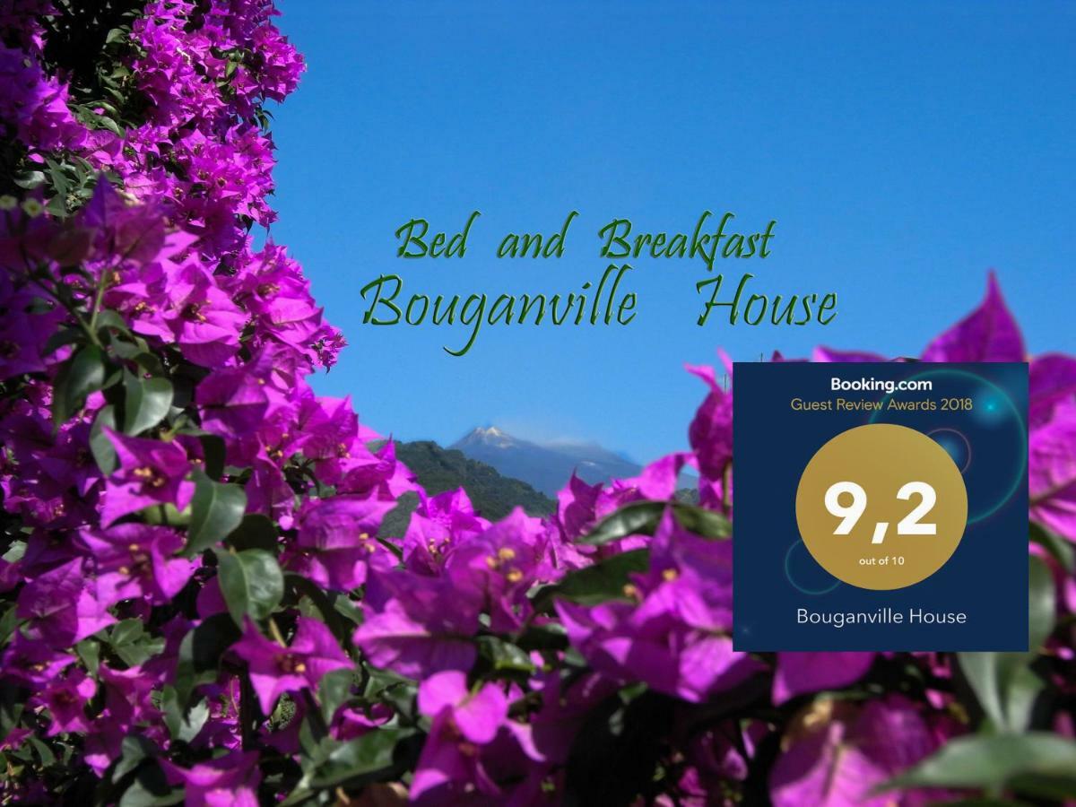 Bouganville House Zafferana Etnea Dış mekan fotoğraf